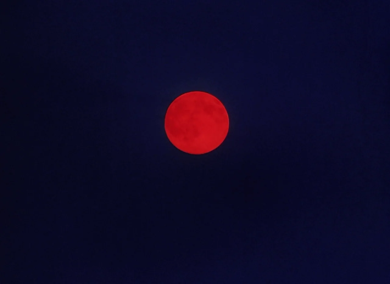 Pastoral To Die In The Country (1974) movie still: establishing — A vast, dark blue night sky serves as the backdrop for a celestial event. A single…