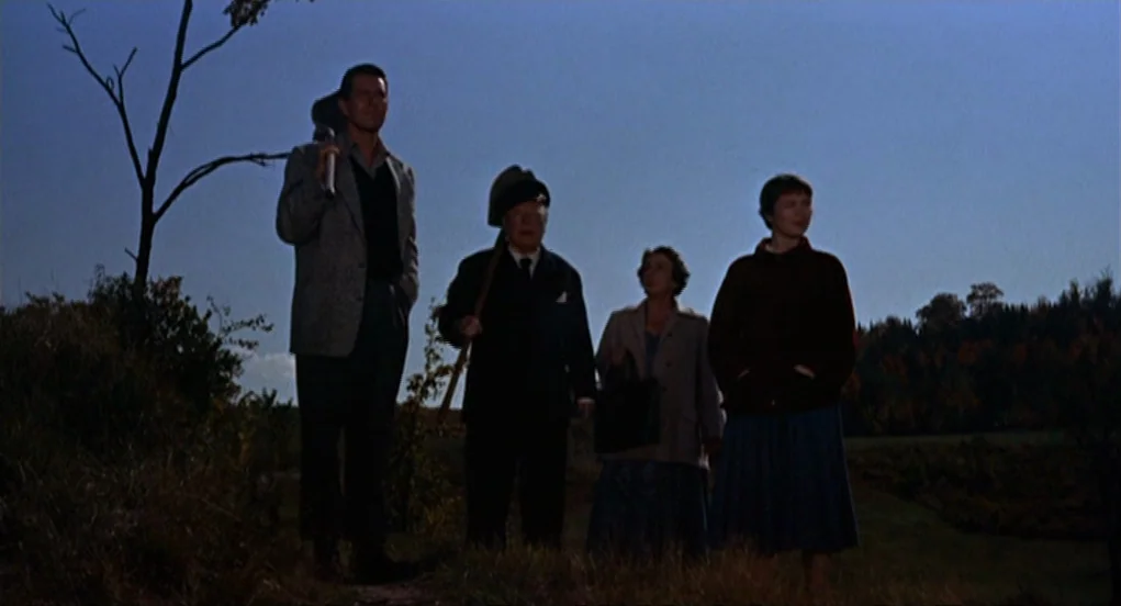 The Trouble With Harry (1955) movie still: fullbody — An open rural field under a clear blue twilight sky. Four people stand together in the grass…