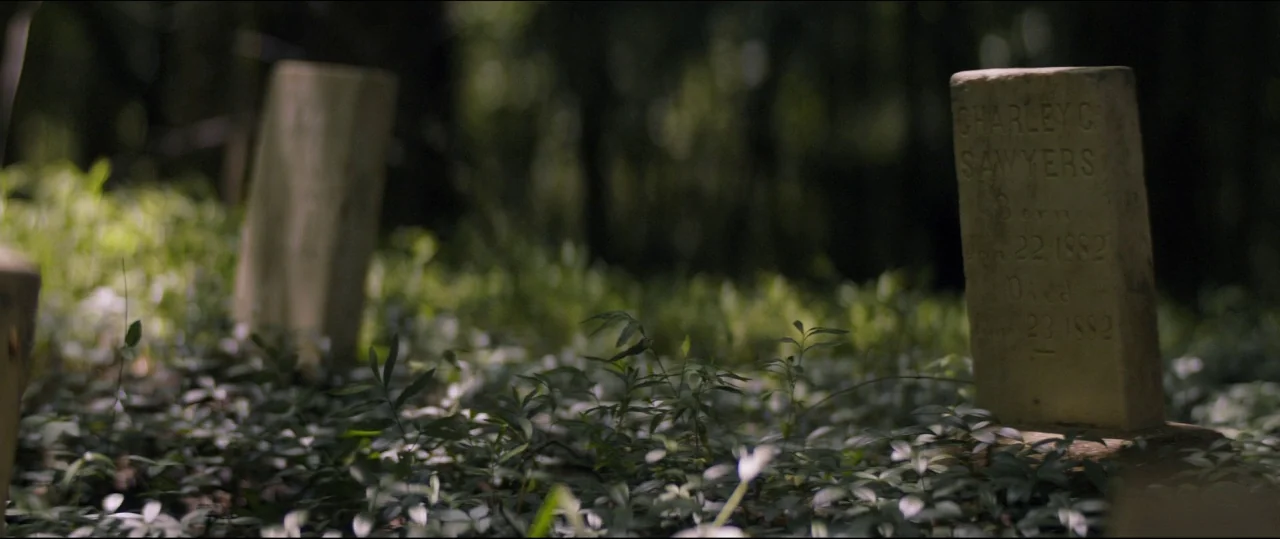 One & Two (2015) movie still: wide — A secluded graveyard set in a dense woodland with low-lying green ground cover plants. Several weathered stone…