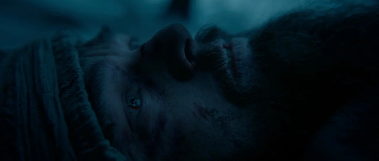 The Revenant (2015) movie still: closeup — A dark, cold environment with a man lying on the ground at night. The man stares upward while his face is…