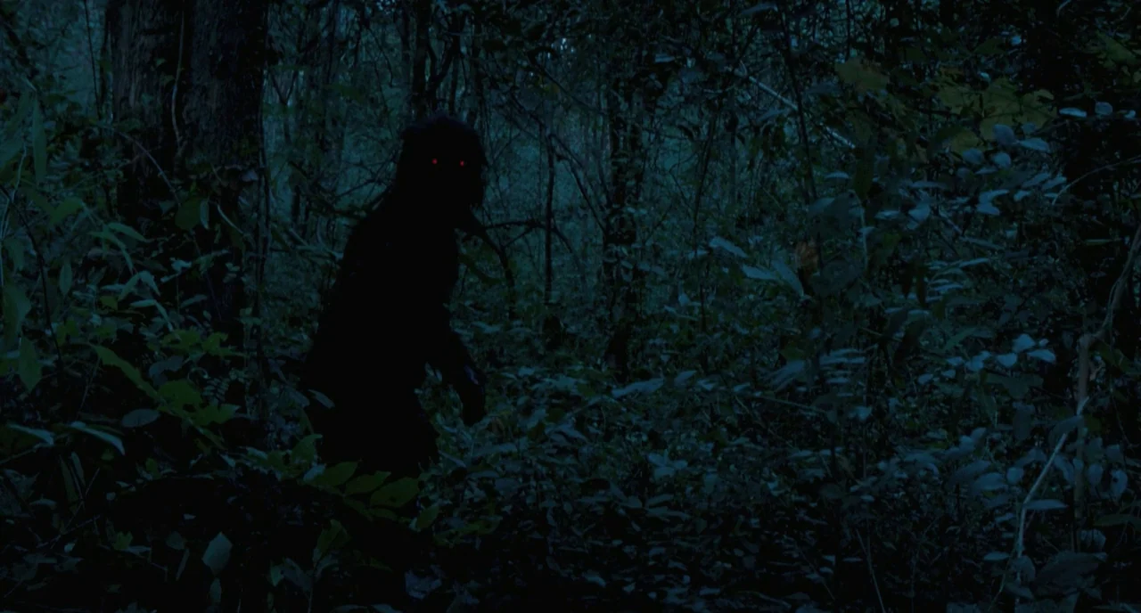 Uncle Boonme Who Can Recall His Past Lives (2010) movie still: medium — A dense forest at night is filled with shadows and thick undergrowth. A dark…