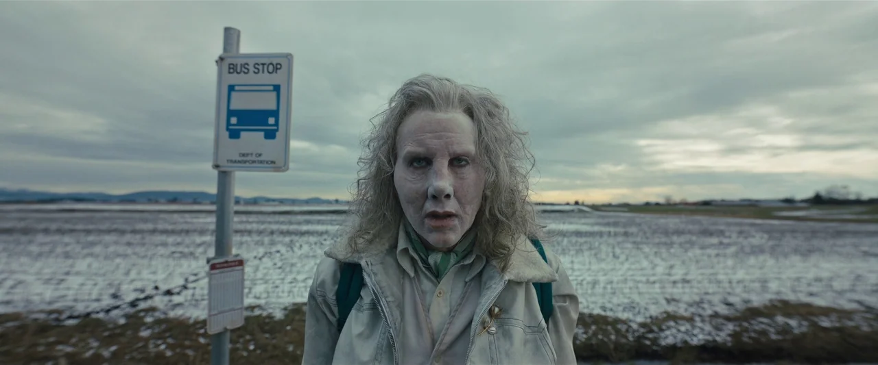 Longlegs (2024) movie still: medium — A person with pale skin stands in front of a metal bus stop sign. Behind them is a flat, snow-dusted field…