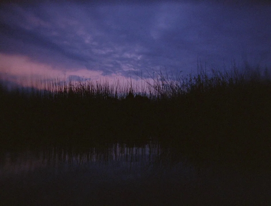 Post Tenebras Lux (2012) movie still: establishing — A dark marshland is covered by tall reeds against a purple twilight sky. The calm water surface…