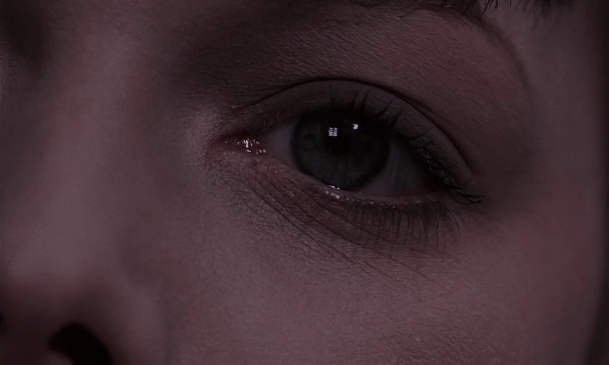 Daughters of Darkness (1971) movie still: closeup — A close-up captures a human eye in a dark, poorly lit environment. The subject keeps a steady,…