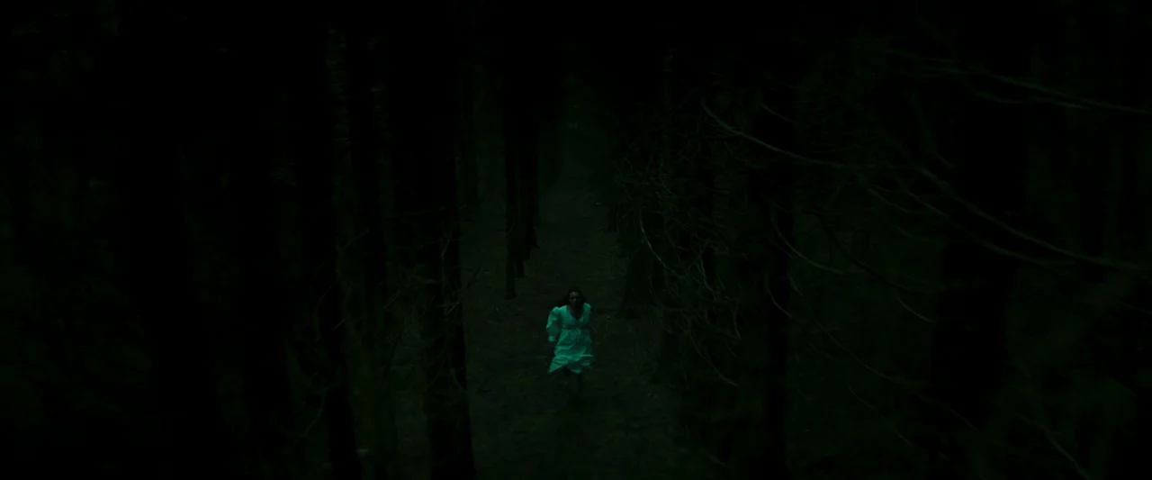 Unwelcome (2022) movie still: wide — A dark forest path is flanked by dense rows of silhouetted trees. A lone woman wearing a white nightgown runs…