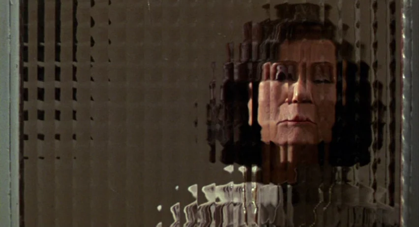 Matador (1986) movie still: closeup — A woman appears through a fluted privacy glass door panel. The vertical texture of the glass distorts her…