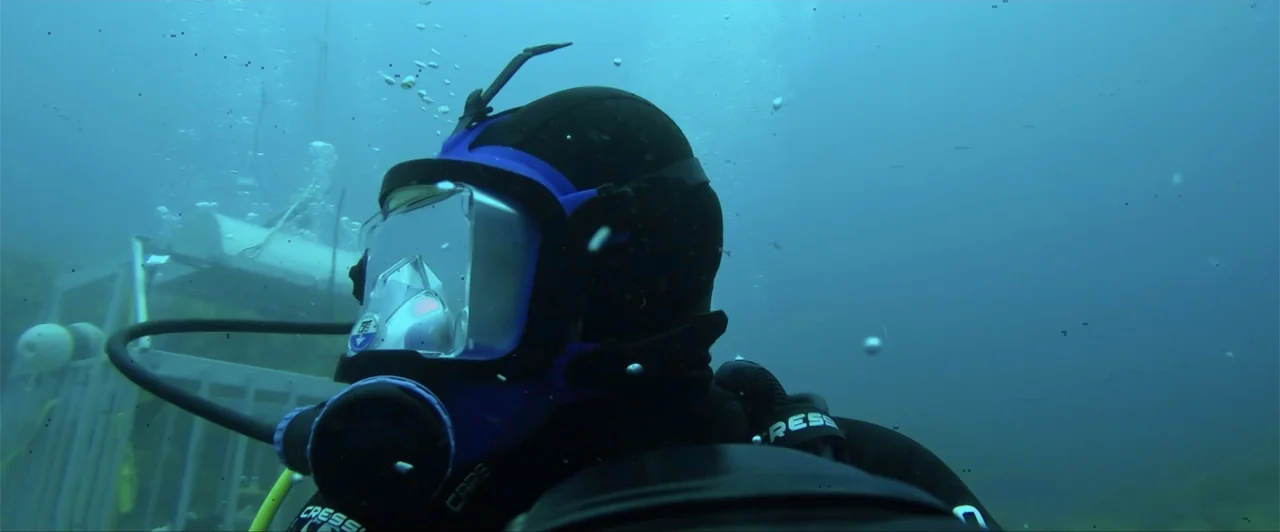 Lair of the Great White (2024) movie still: closeup — An underwater scene features a diver wearing a black and blue full-face mask. The diver looks…