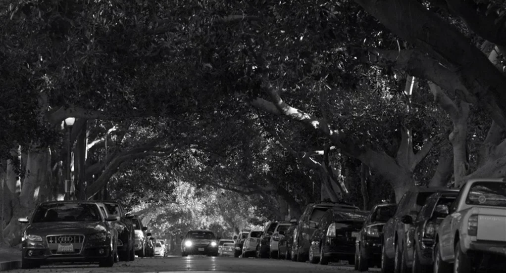 Much Ado About Nothing (2012) movie still: establishing — A residential street is lined with large trees that create a tunnel effect. Numerous…