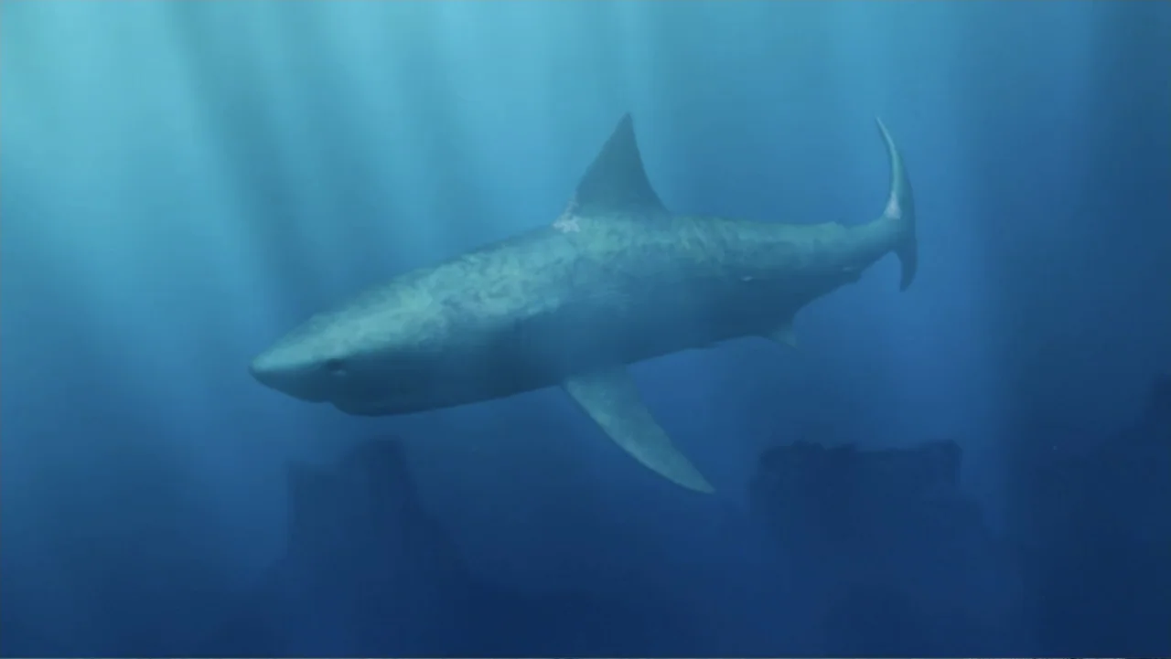 Megalodon: The Monster Shark Lives (2013) movie still: medium — An underwater scene shows open blue water with soft rays of light descending. A…