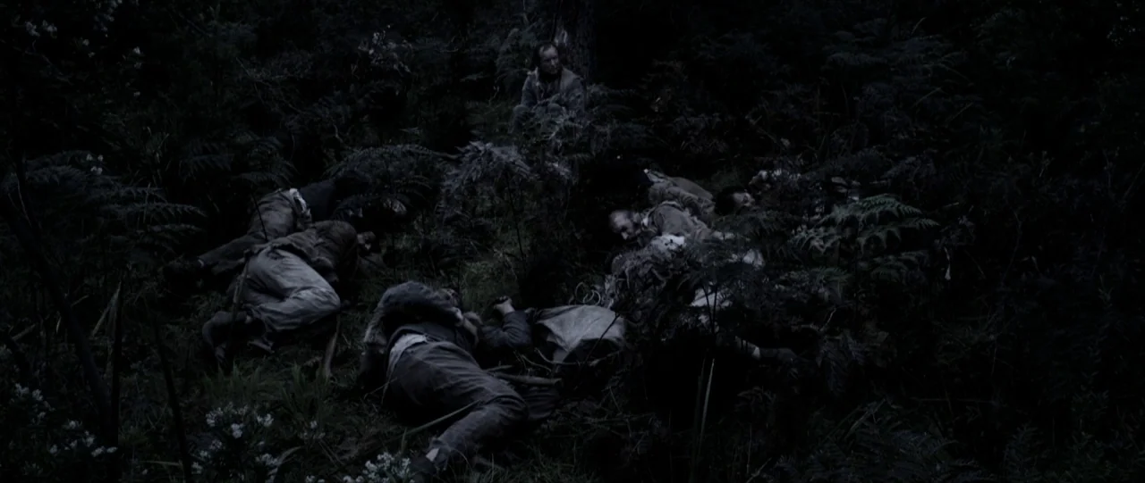 Van Diemens Land (2009) movie still: wide — A dark forest floor covered in dense ferns and thick, overgrown foliage. Several men in rugged attire…