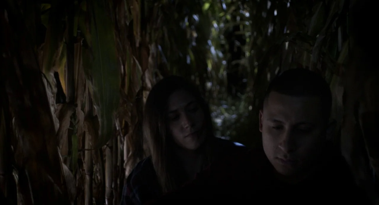 Happer’s Comet (2022) movie still: medium — A dark, narrow path winds between tall, dry corn stalks at night. A young couple stands closely together…
