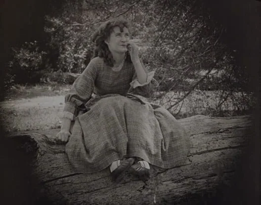 Birth of a Nation (1915) movie still: medium — A woman sits perched atop a massive, weathered log in a dense wooded area. She rests her hand against…