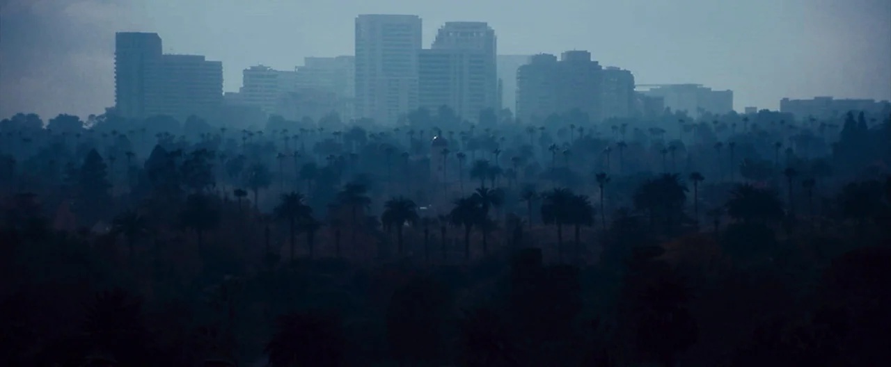 Nocturnal Animals (2016) movie still: establishing — A dense grove of silhouetted palm trees sits before a cluster of modern buildings. The urban…