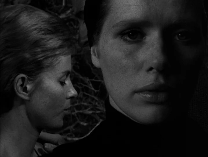 Persona (1966) movie still: closeup — Two women stand close together against a backdrop of bare, intertwined tree branches. Their faces are captured…