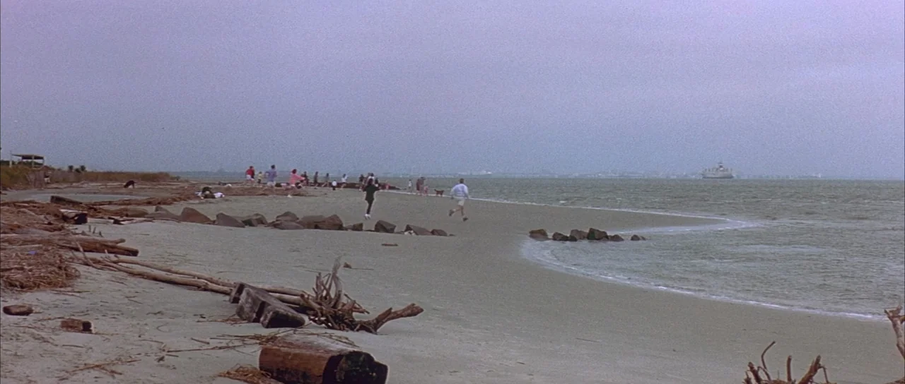 Die Hard with a Vengeance (1995) movie still: wide — An overcast beach landscape features scattered driftwood logs and rocky protrusions along the…