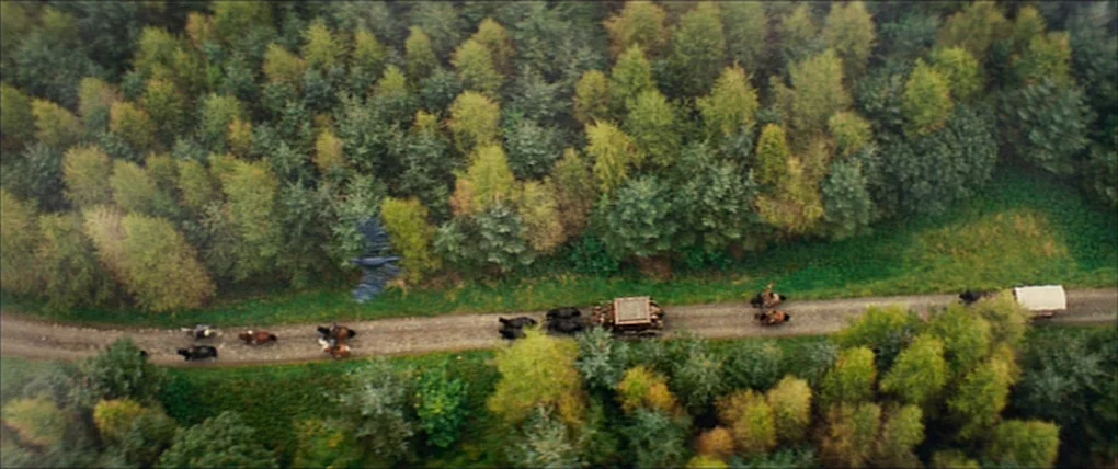 Your Highness (2011) movie still: establishing — A gravel path cuts through a dense forest of coniferous and deciduous trees. A horse-drawn carriage…