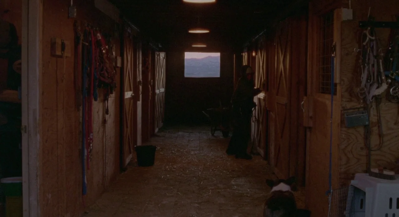 Certain Women (2016) movie still: wide — A long, dimly lit wooden interior with rows of stall doors flanking a dirt path. A single rectangular…