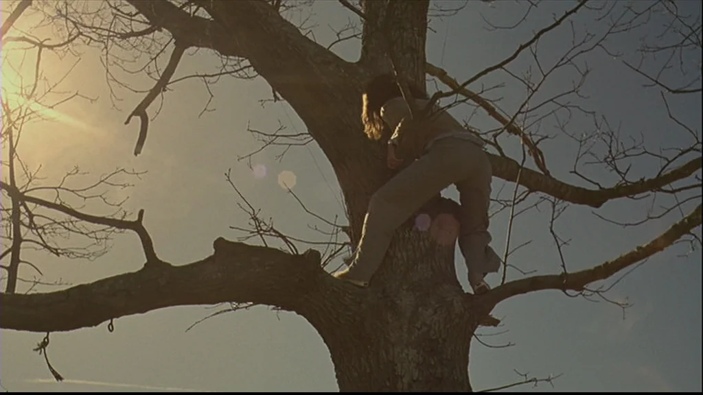 Margot At The Wedding (2007) movie still: fullbody — A person clings to the trunk of a large, leafless deciduous tree. The bright sun bleeds into…