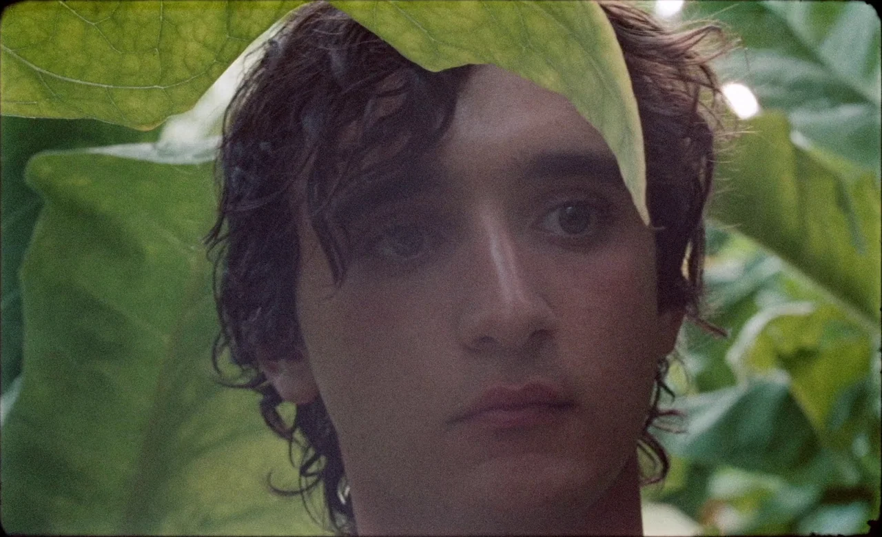 Happy as Lazzaro (2018) movie still: closeup — A close-up of a young man framed by lush, broad green leaves. The subject looks forward while foliage…