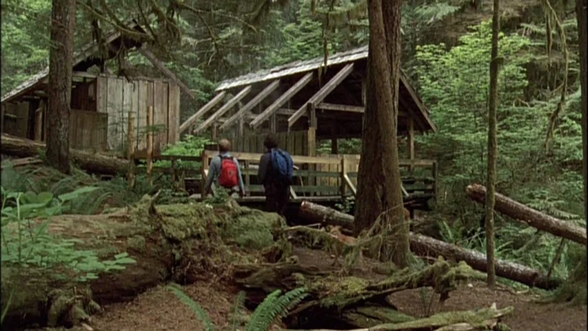 Old Joy (2006) movie still: wide — Two individuals hike across a wooden walkway nestled within a dense, moss-covered temperate forest. The setting…