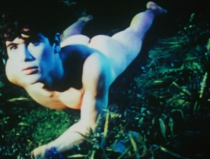 Pink Narcissus (1971) movie still: fullbody — A dark, murky aquatic environment filled with tall green seaweed and floating aquatic plants. A young…