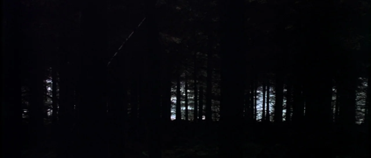 Isolation (2005) movie still: establishing — A dense cluster of tall dark trees fills the entire field of vision. Nighttime conditions obscure most…