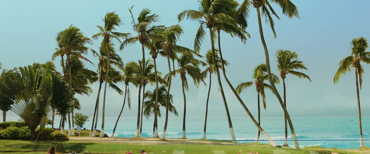 Anna (2019) movie still: wide — A row of palm trees lines a tropical beach with turquoise water. The coastline stretches horizontally across the…