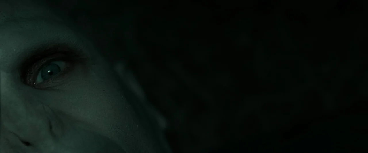 Harry Potter & The Deathly Hallows Part 2 (2011) movie still: closeup — A dark, undefined interior space obscures most of the visual field. A human…