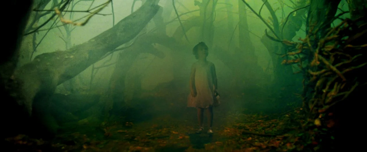 Moon Garden (2022) movie still: fullbody — A dense, fog-filled woodland features gnarled tree trunks and a leaf-covered floor. A small child in a…