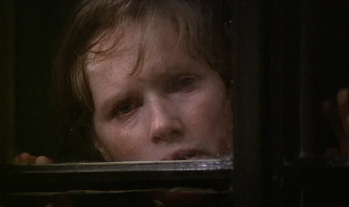 The Serpent’s Egg (1977) movie still: closeup — A dark indoor space viewed through a singular wooden-framed window pane. A woman looks through the…
