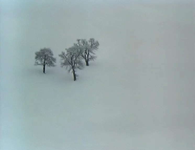 The Wishing Tree (1977) movie still: wide — Three bare trees are isolated within a vast expanse of pristine, flat snow. The landscape is uniform and…