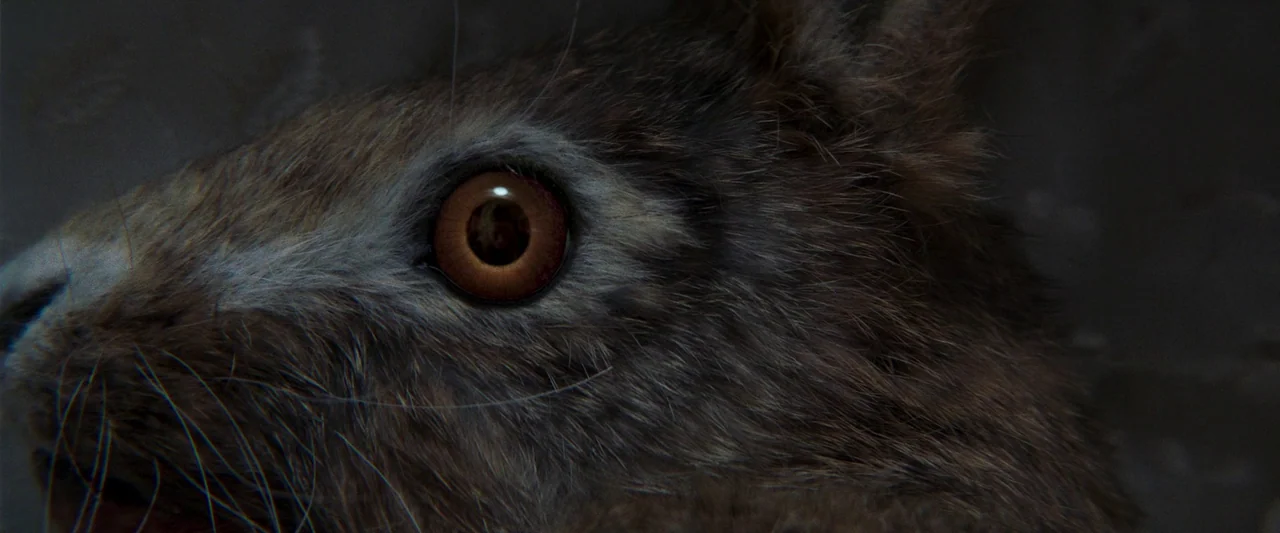 Starve Acre (2023) movie still: closeup — A close-up shot focuses on the detailed brown eye and fur of a hare. The animal sits still with its dark,…