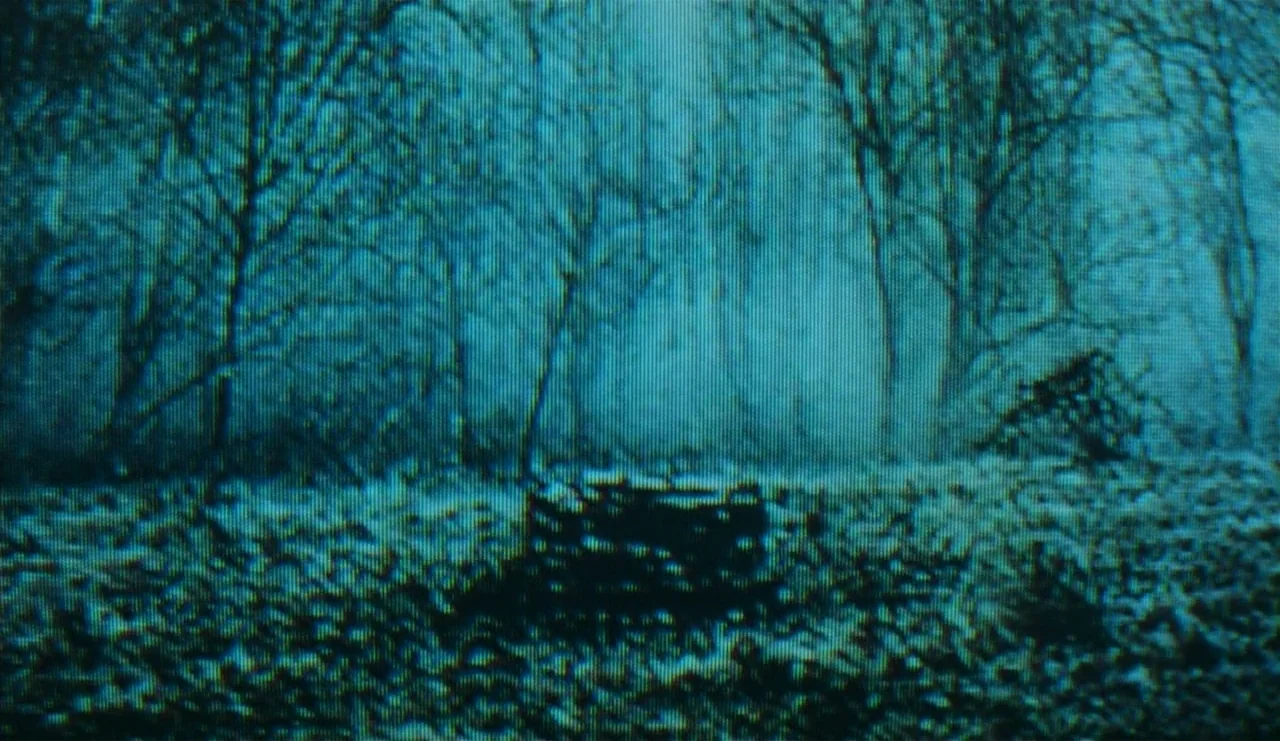 The Ring (2002) movie still: establishing — A dark, snow-covered clearing sits within a dense thicket of bare, leafless trees. Light snow dusts the…