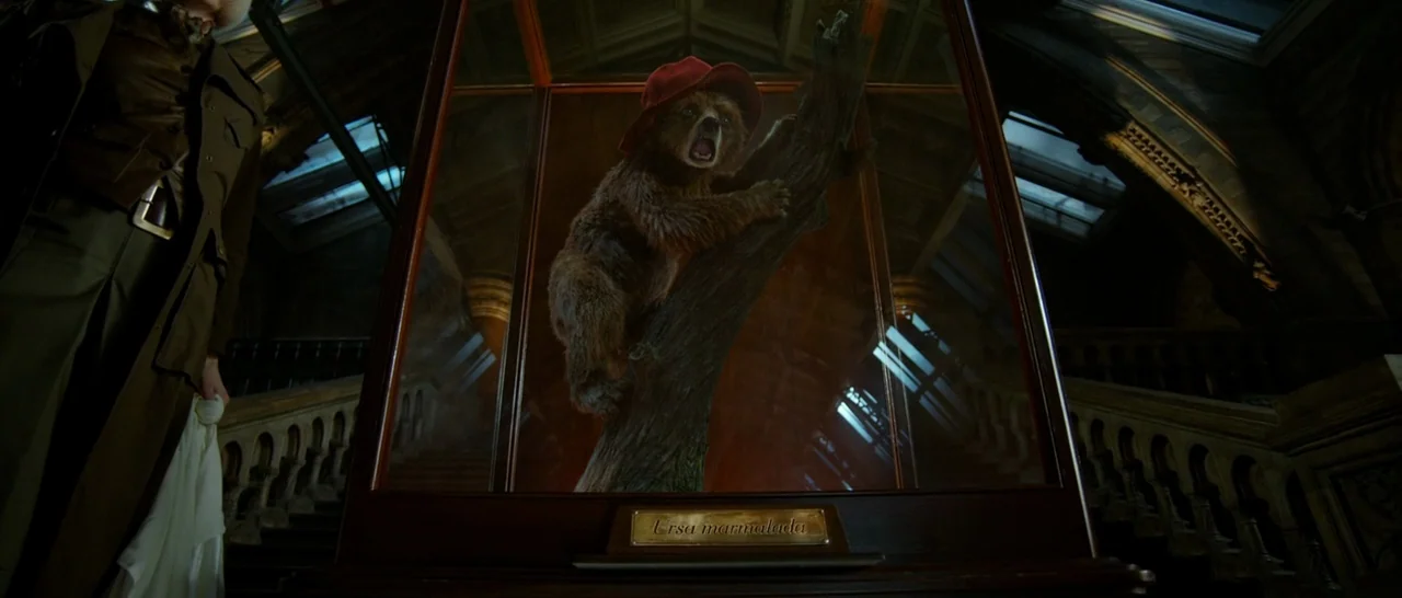 Paddington (2014) movie still: medium — A dark, vaulted hall contains a large glass display case housing a taxidermy bear. The bear wears a red hat…