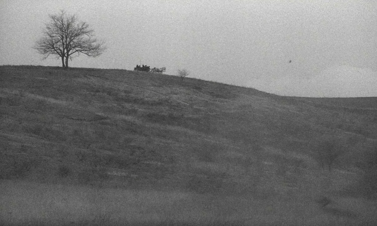 The Turin Horse (2011) movie still: establishing — An expansive, overcast landscape features a grassy hill and a leafless tree. A horse-drawn…