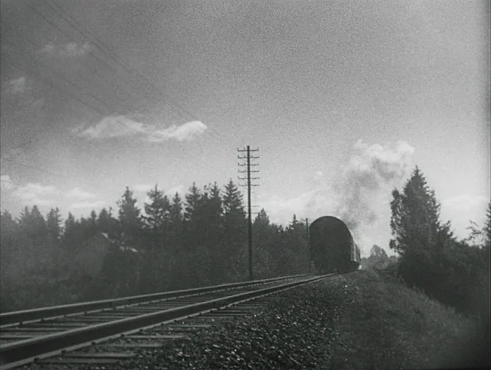 Crisis (1946) movie still: wide — A steam train travels along tracks through a dense treeline on a summer day. Tall utility poles rise alongside the…