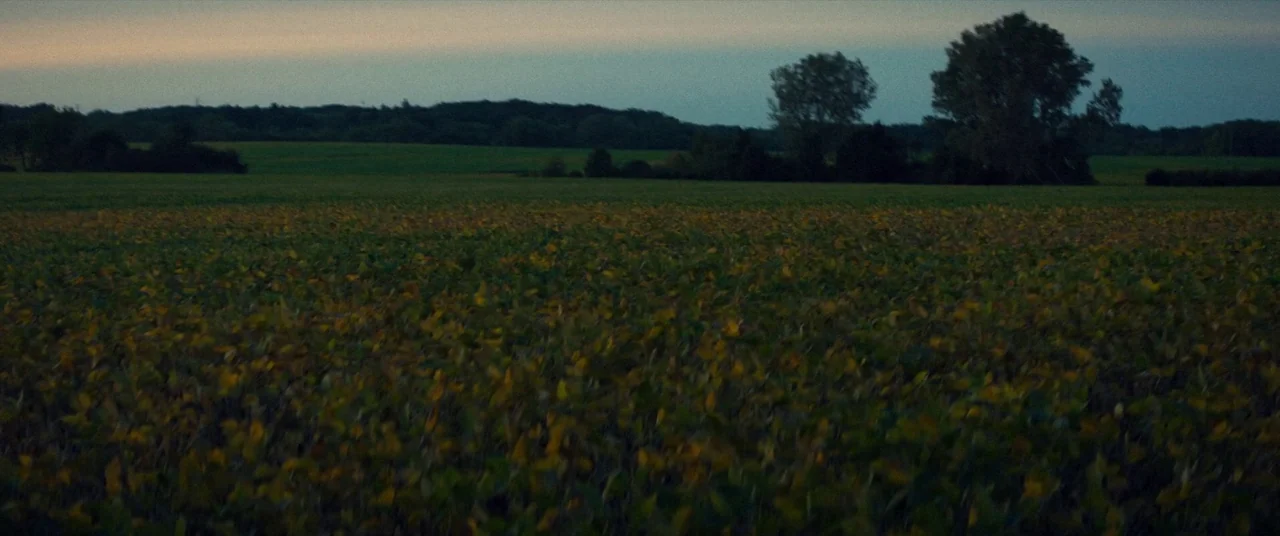 Broadcast Signal Intrusion (2021) movie still: establishing — A vast expanse of crops fills the foreground under a dim, twilight sky. Distant tree…