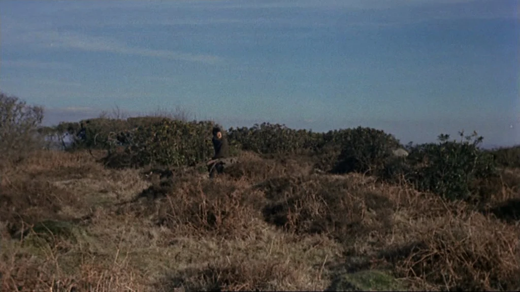 Straw Dogs (1971) movie still: wide — An open moorland landscape featuring low, dense scrub brush under a clear blue sky. A man is seated alone on…