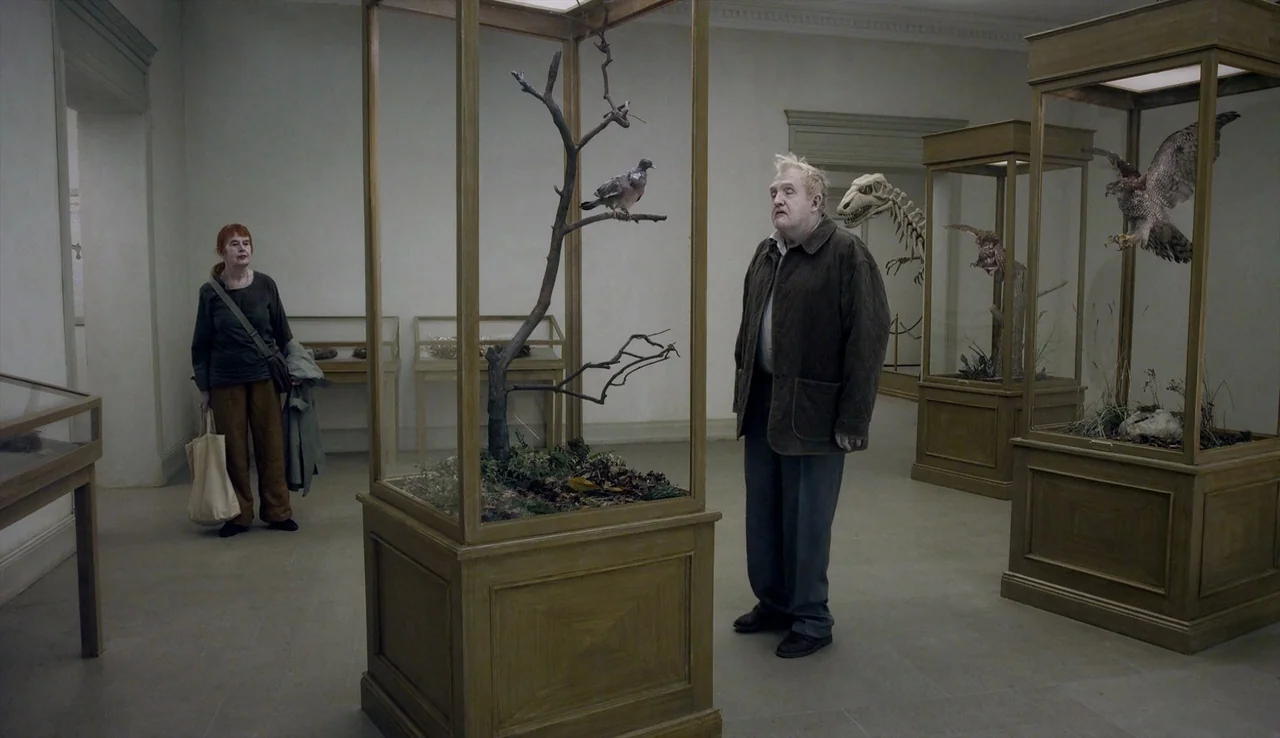 A Pigeon Sat on a Branch Reflecting on Existence (2014) movie still: fullbody — A natural history museum hall contains several tall wooden glass…