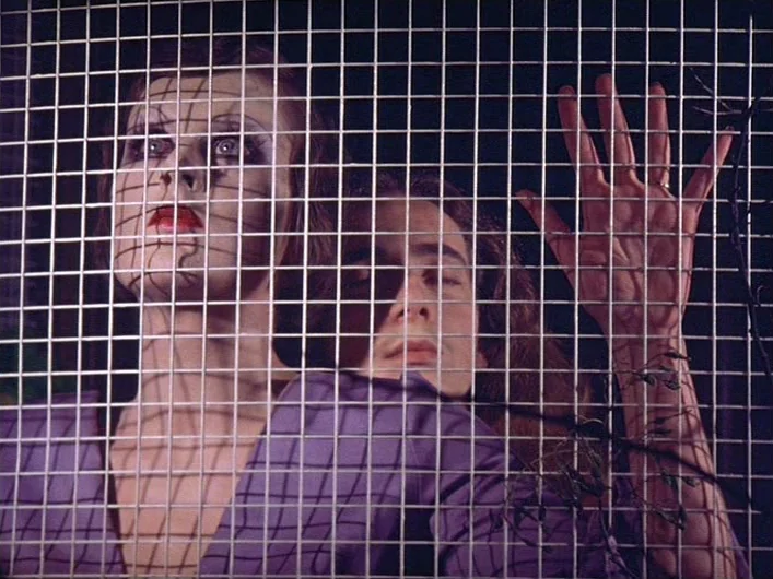 The Death of Maria Malibran (1972) movie still: medium — Two individuals stand behind a grid of wire mesh in a dimly lit space. The man rests his…