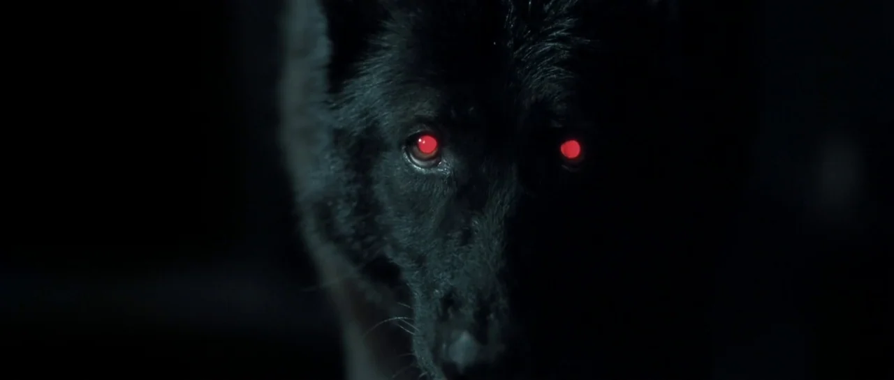 Bones movie still: closeup — A black wolf with glowing red eyes emerges from deep shadow against a black backdrop. The animal remains stationary and…