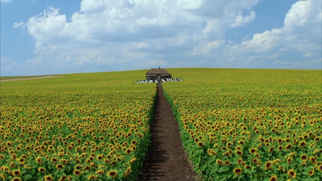 Everything Is Illuminated (2005) movie still: establishing — A vast field of yellow sunflowers stretches toward a small house on a hill. A narrow…