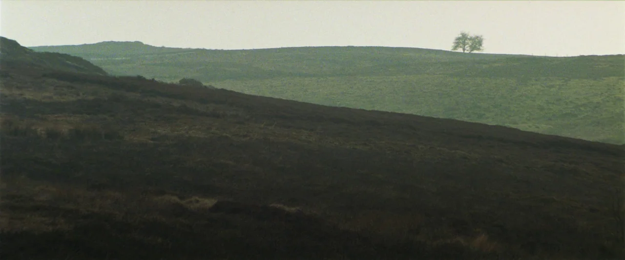 Starve Acre (2023) movie still: establishing — A vast, rolling expanse of hilly moorland features dark scrubland and muted green grass. A lone…