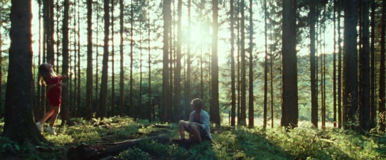 Adoration (2019) movie still: wide — A dense coniferous woodland with golden sunlight streaming through the vertical tree trunks. A young man sits…
