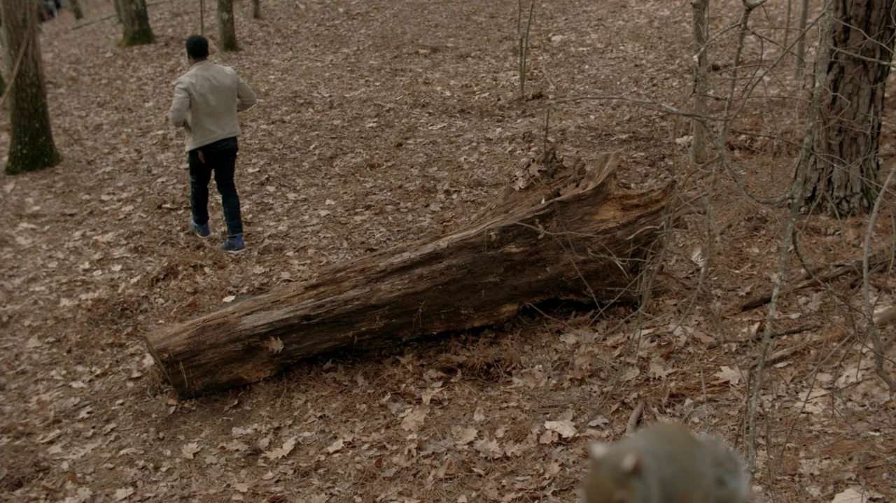 Die Hart (2023) movie still: wide — A dense woodland area covered in fallen brown leaves with a large, decaying log. A man walks through the…