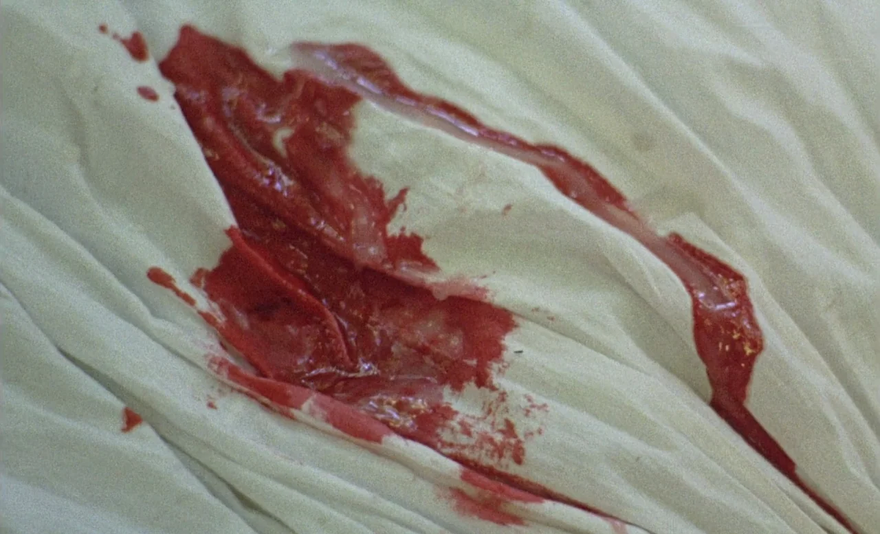The Beast (1975) movie still: closeup — Close-up view of white, creased fabric stained with bright red liquid. The fluid pools and trails across the…
