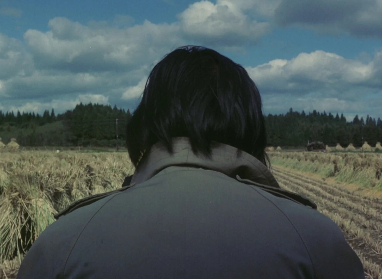Pastoral To Die In The Country (1974) movie still: medium — A harvested field stretches toward a dense tree line under a cloudy sky. A man stands…