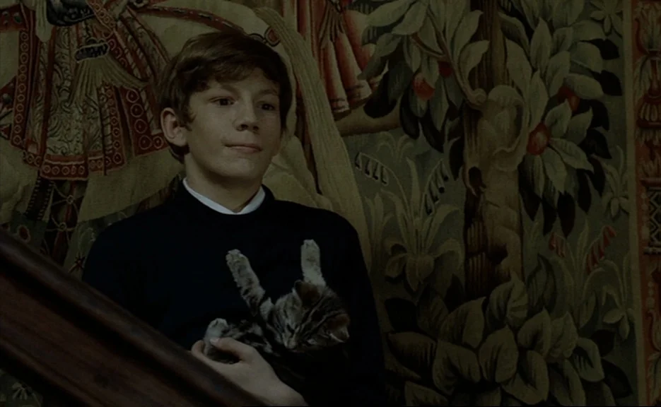 Murmur of the Heart (1971) movie still: medium — A teenager stands on a wooden staircase in front of a patterned tapestry wall. He holds a small…