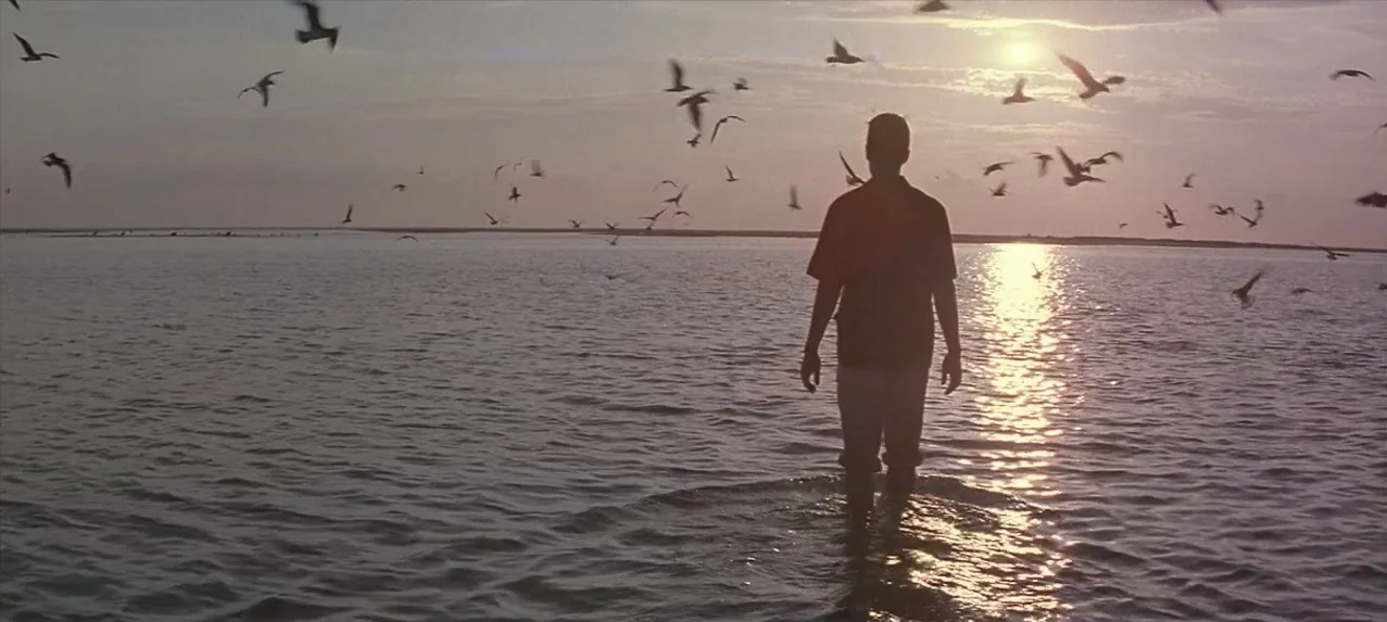 Great Expectations (1998) movie still: fullbody — A man walks slowly through the shallow expanse of a calm, reflective sea. Numerous seagulls fly…