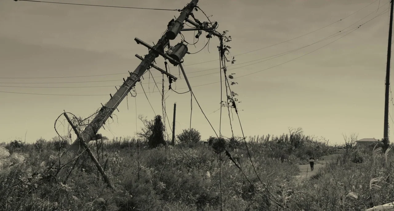 The Whispering Star (2015) movie still: wide — An overgrown field contains a large utility pole leaning at a sharp angle. Hanging electrical wires…